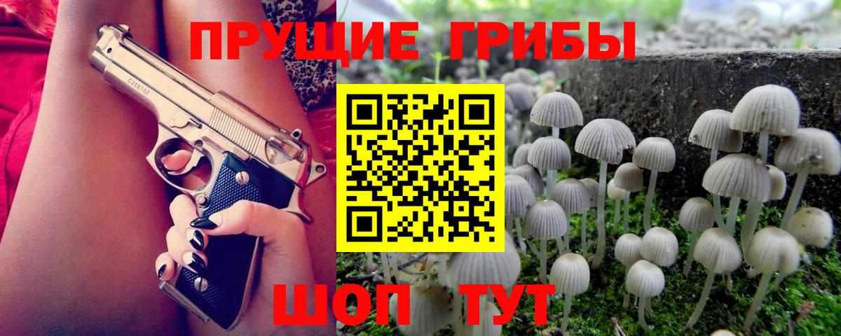 Псилоцибиновые грибы прущие грибы  Псилоцибиновые грибы мухоморы  Вход с VPN  Сертолово 